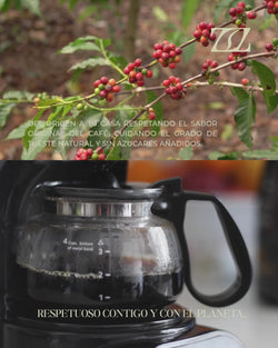 Nicaragua - Alpine